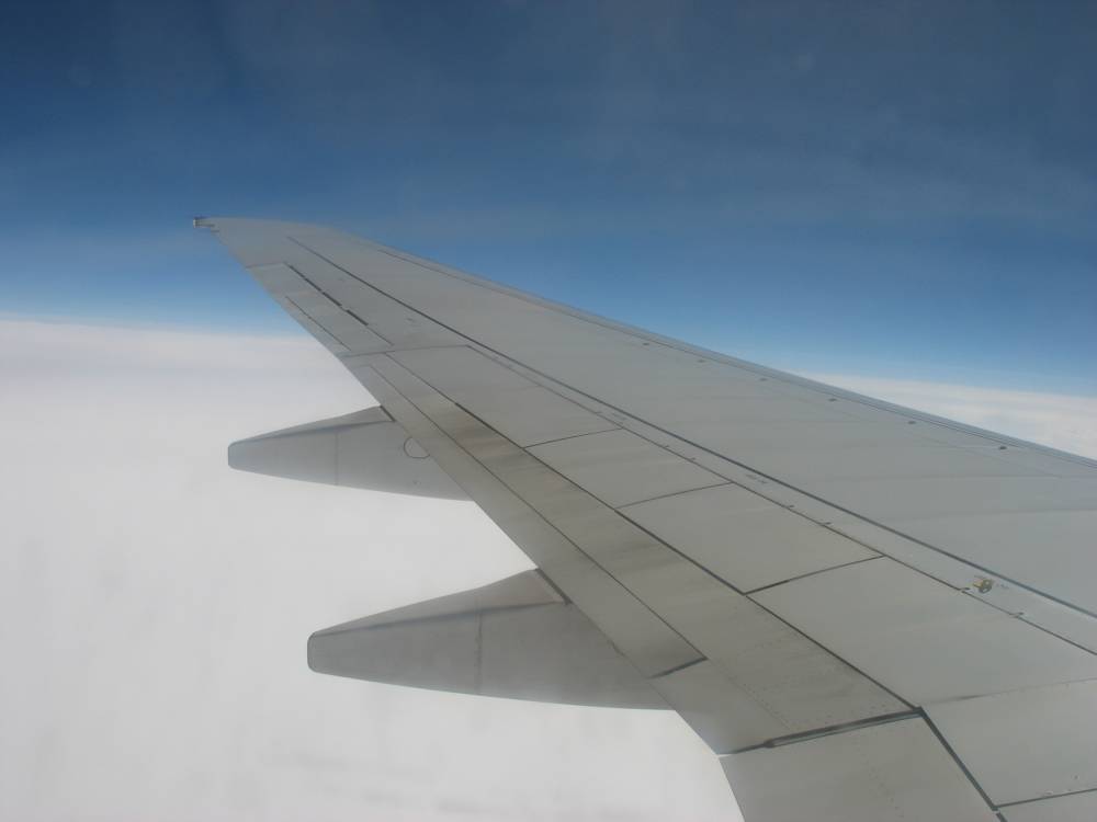 IMG_1593.jpg