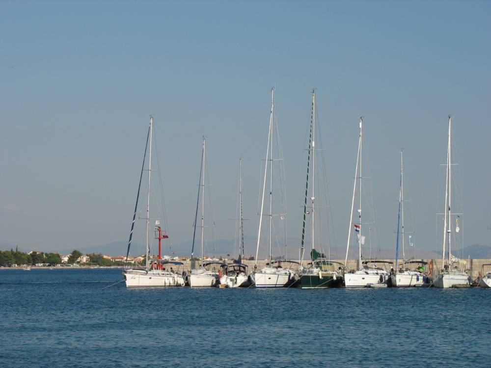 IMG_1647.jpg