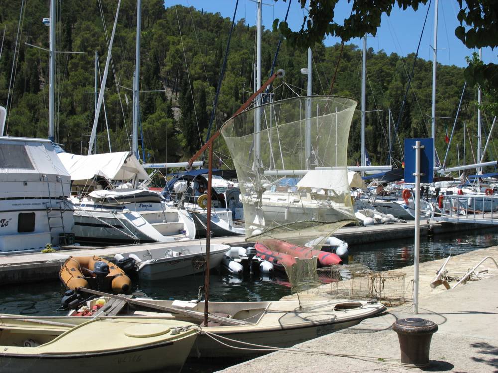 IMG_1660.jpg