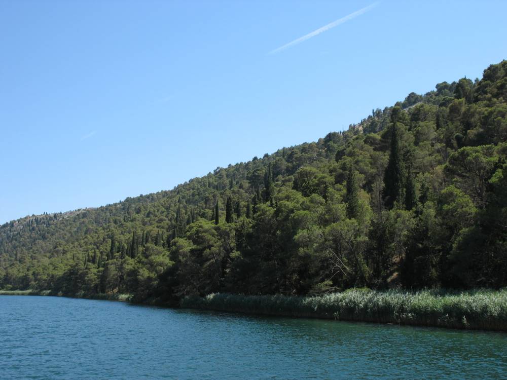 IMG_1665.jpg