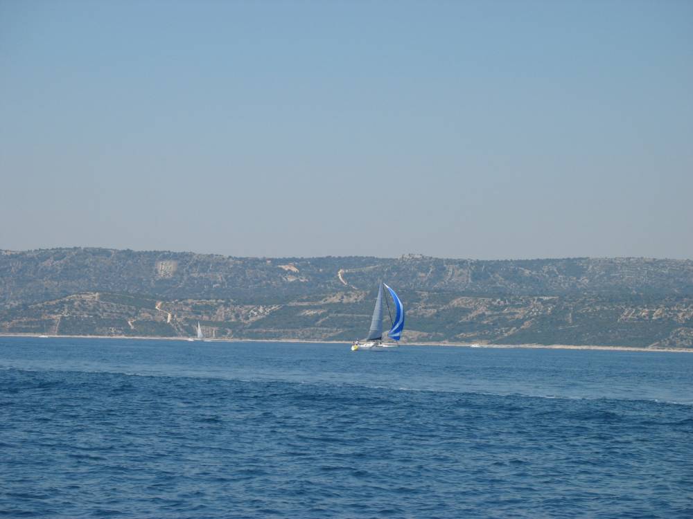 IMG_1725.jpg