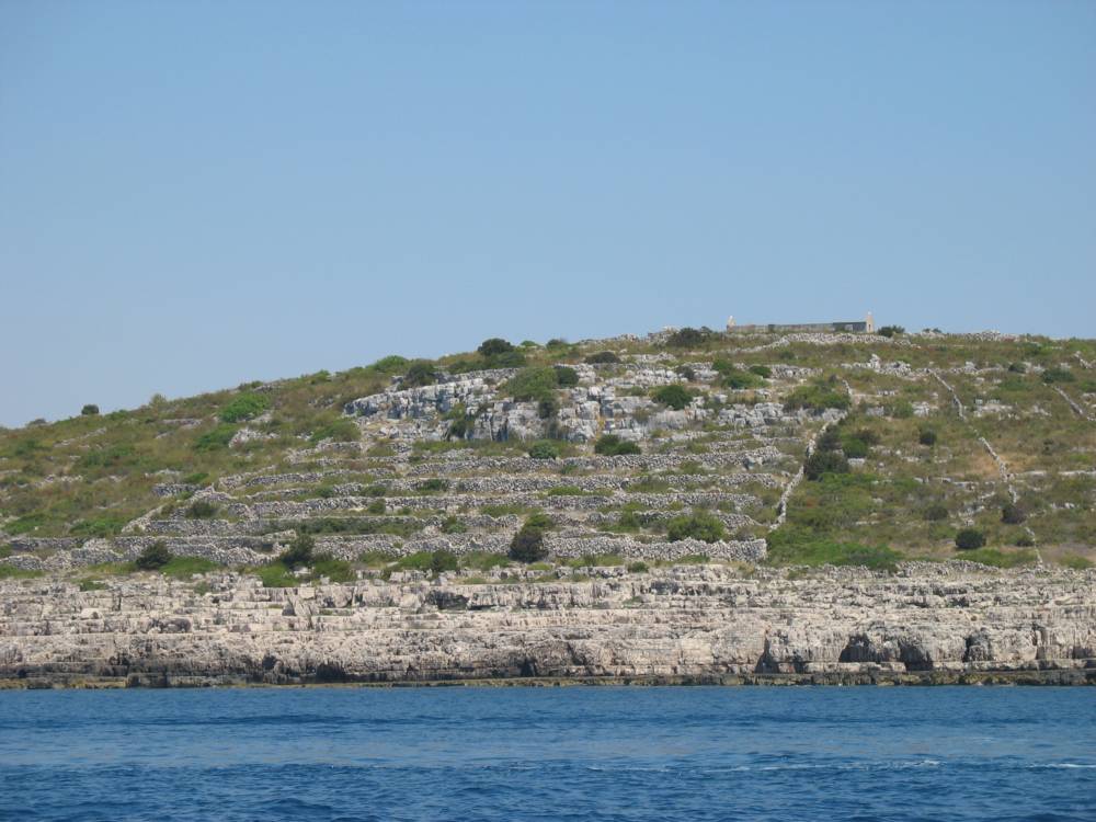 IMG_1726.jpg