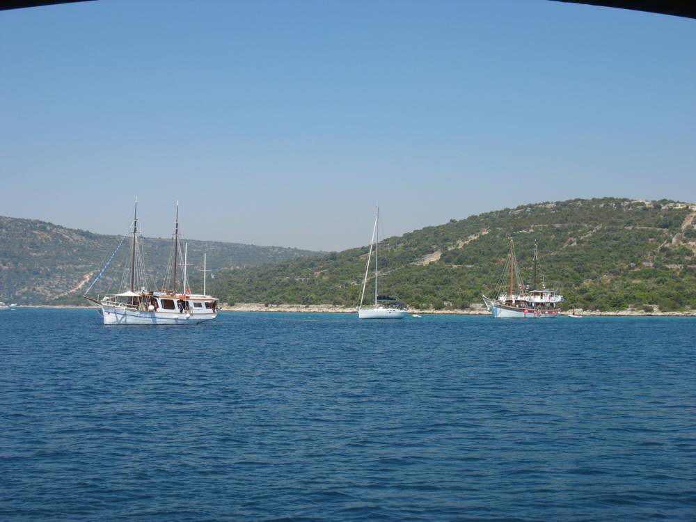 IMG_1730.jpg
