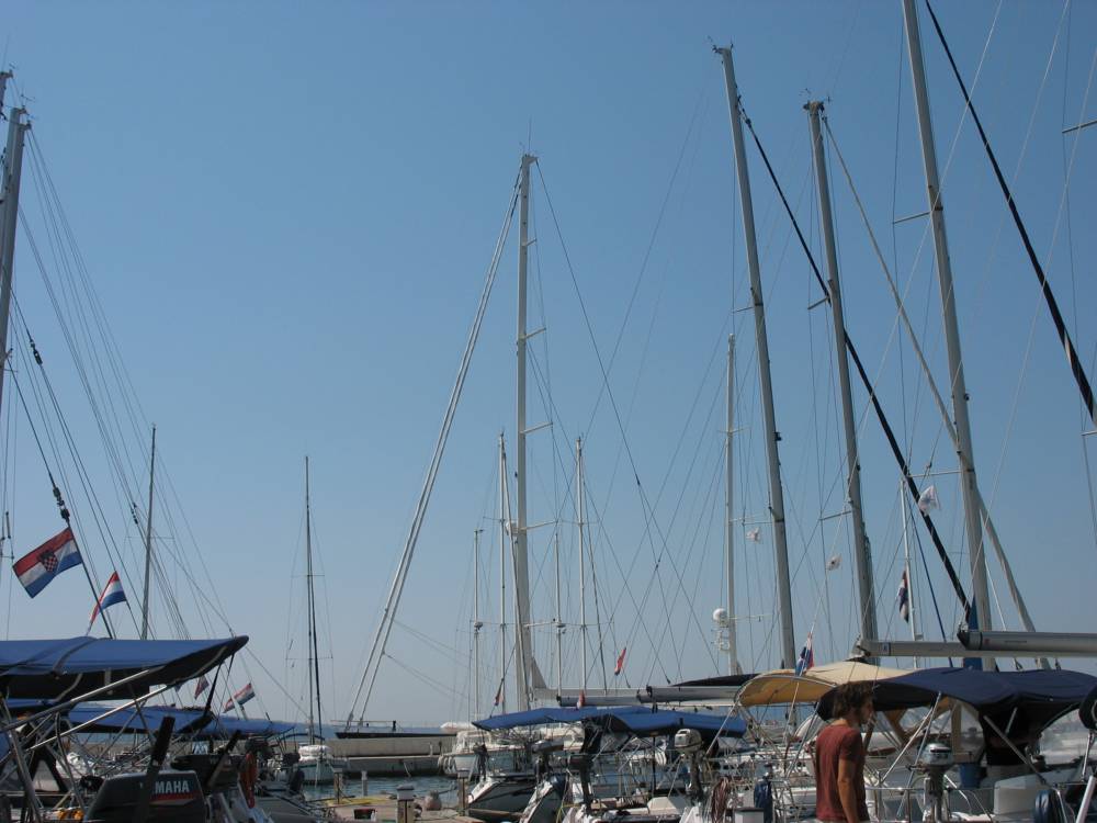 IMG_1742.jpg