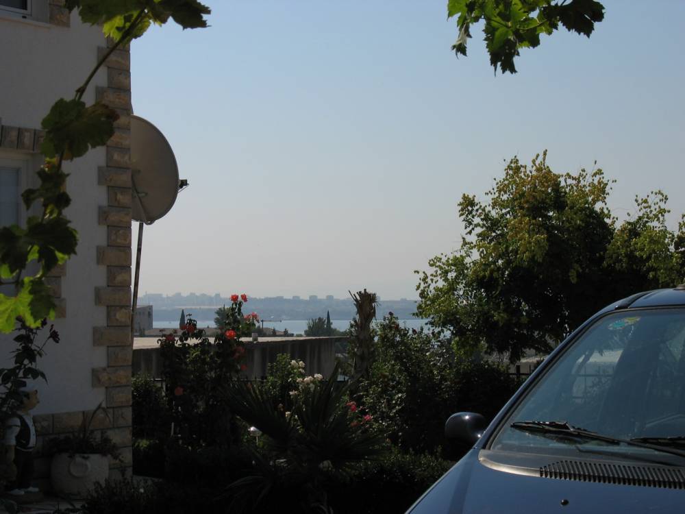 IMG_1768.jpg