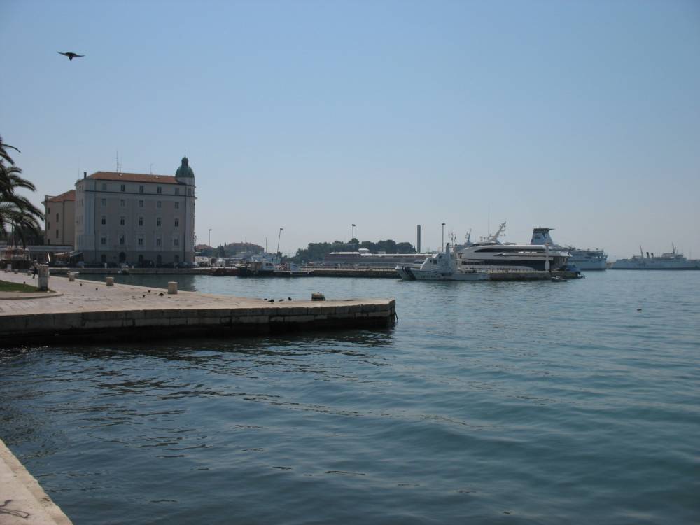 IMG_1772.jpg