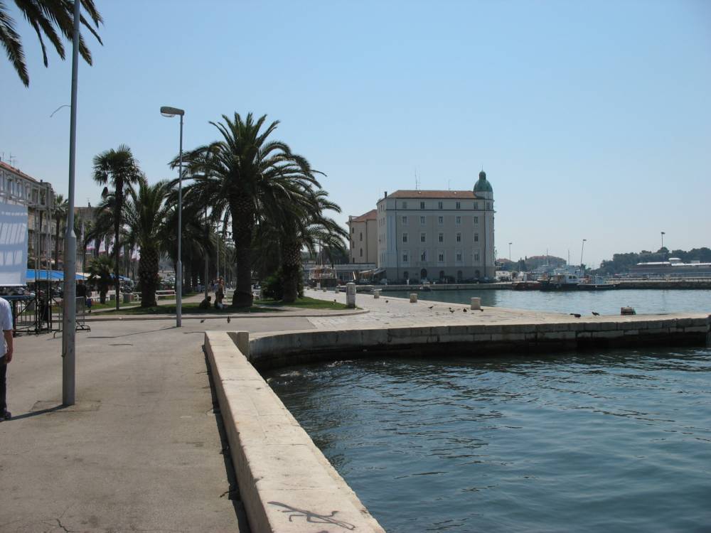 IMG_1773.jpg