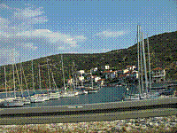 IMG_1605.jpg
