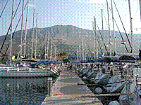 IMG_1619.jpg