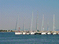 IMG_1647.jpg