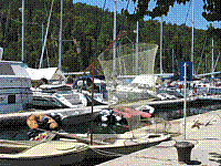 IMG_1660.jpg