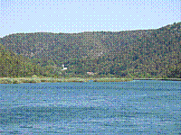 IMG_1664.jpg