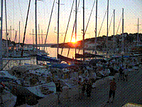 IMG_1709.jpg