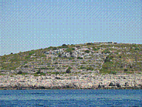 IMG_1726.jpg