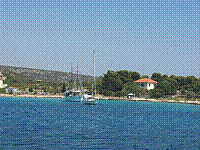 IMG_1729.jpg