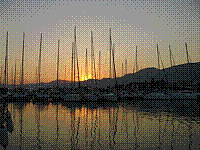 IMG_1736.jpg