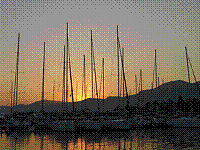 IMG_1737.jpg