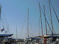 IMG_1742.jpg