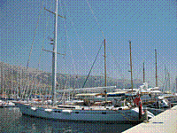 IMG_1747.jpg