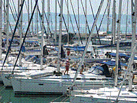 IMG_1751.jpg