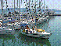IMG_1752.jpg