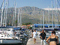 IMG_1754.jpg