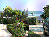 IMG_1755.jpg