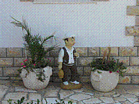 IMG_1765.jpg