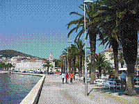 IMG_1771.jpg