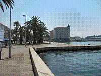 IMG_1773.jpg