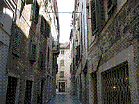 IMG_1774.jpg