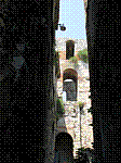 IMG_1786.jpg