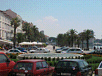 IMG_1790.jpg